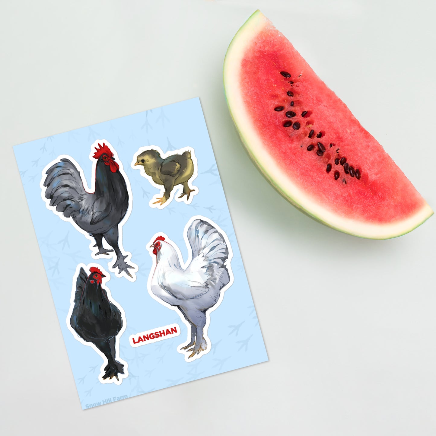 Langshan Chicken Sticker Sheet