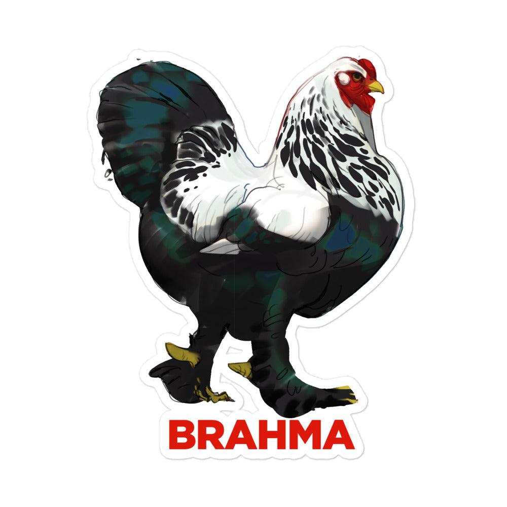 Brahma Chicken Kiss Cut Sticker